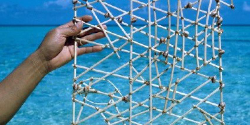 Wetenschappers zeilden 200 km in Grote Oceaan om de oude Marshallese kunst van het ‘golven lezen’ te bestuderen