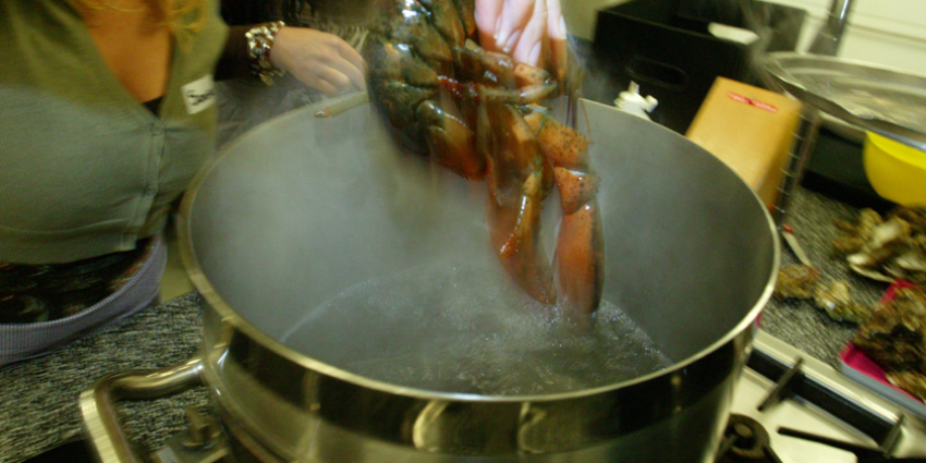 AH helpt bij Kerstdinner