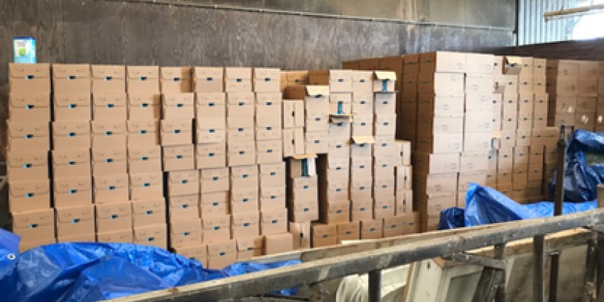 Illegale mestvewerking en gestolen babyvoeding gevonden