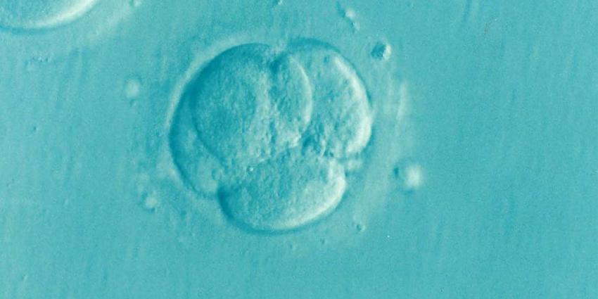 Erfelijke borstkanker door embryoselectie te voorkomen