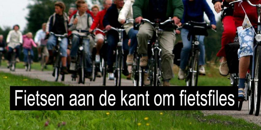 Meer mensen laten fiets staan om fietsfiles