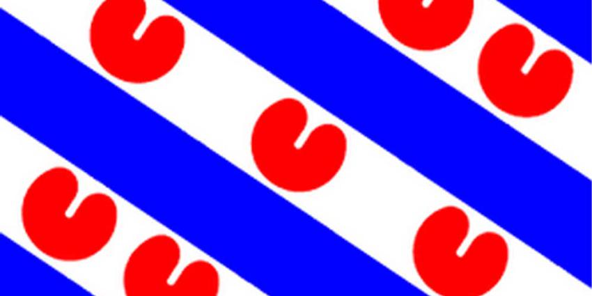 Foto van Friese vlag | BON