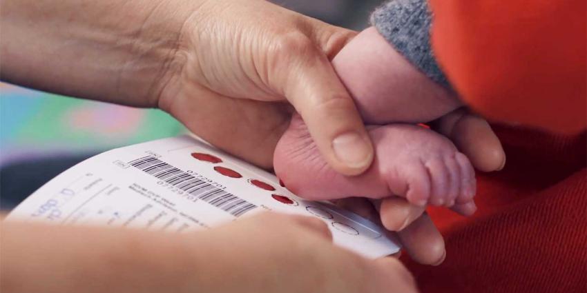 hielprik-stofwisseling