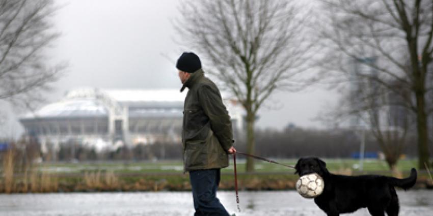 Foto van hond voetbal Arena Ajax | Archief EHF