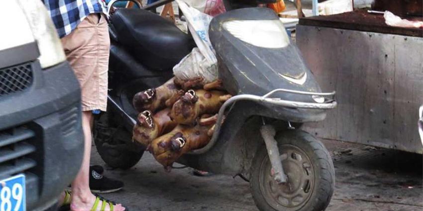 Voorlopig verbod Yulin hondenvleesfestival in China