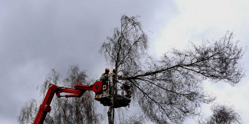 hoogwerker-boom-storm-gevaar