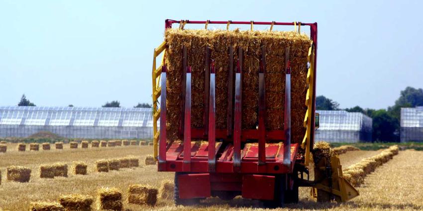 Kabinet wil €75 miljoen voor startende jonge boeren