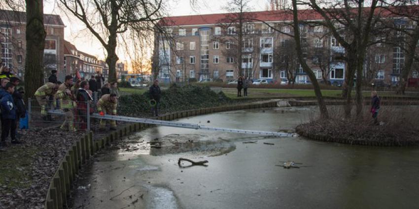 Brandweer redt meisje van eilandje