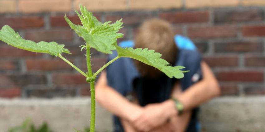 kwart, jeugdzorginstellingen, rode cijfers
