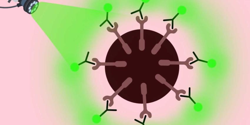 kankercellen-oplichten