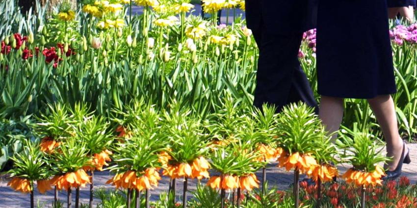 Verkeer richting Keukenhof loopt vast