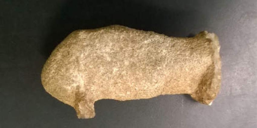 Revens keutel brengt 415 euro op