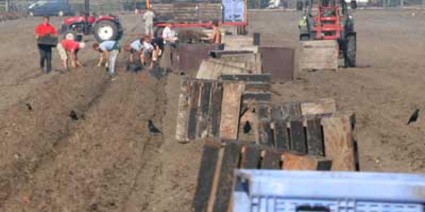 'Bodemvruchtbaarheid Flevoland in gevaar'