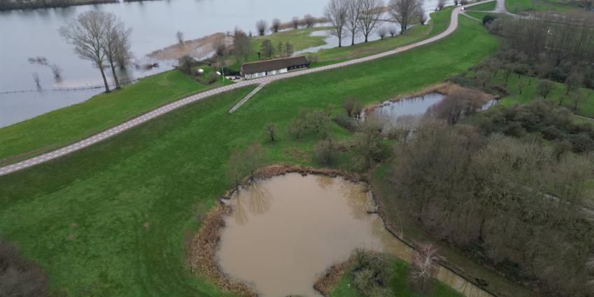 Hoogwater in de Lek