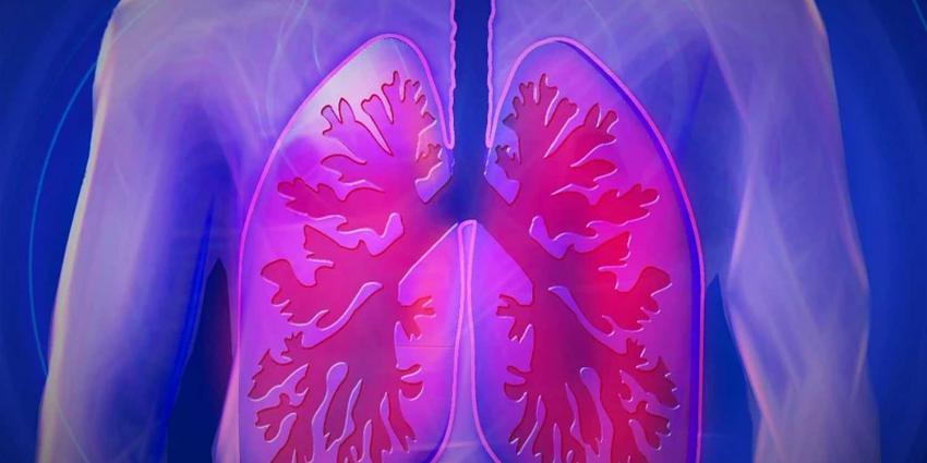 longen-afbeelding