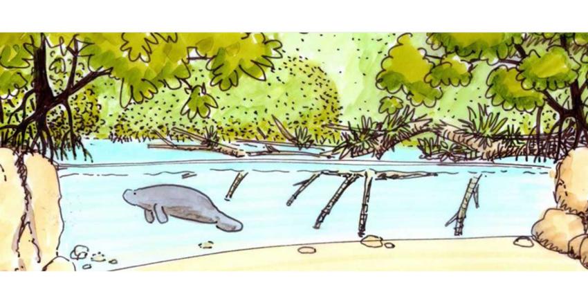 Grootste overdekte mangrove ter wereld komt in Arnhem