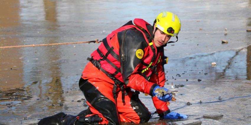 Brandweer redt in visdraad verstrikte meeuw van het ijs