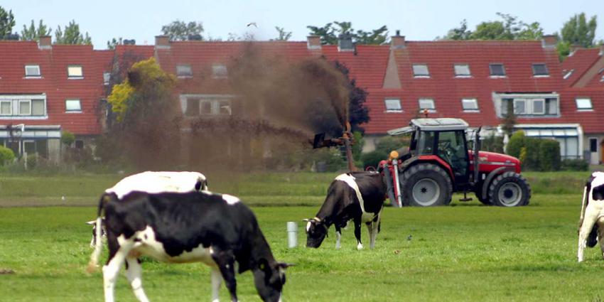 fosfaatreductie-melkveehouderij-koe-weiland-mest