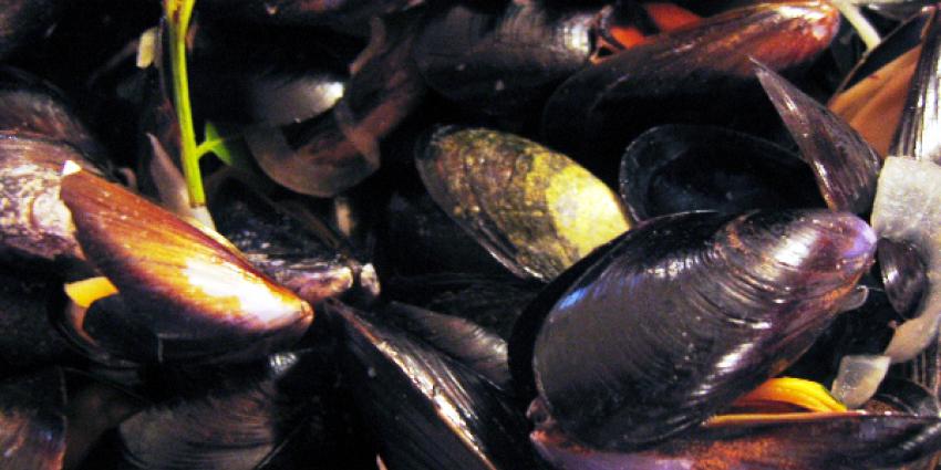 Foto van Mosselen | Sxc