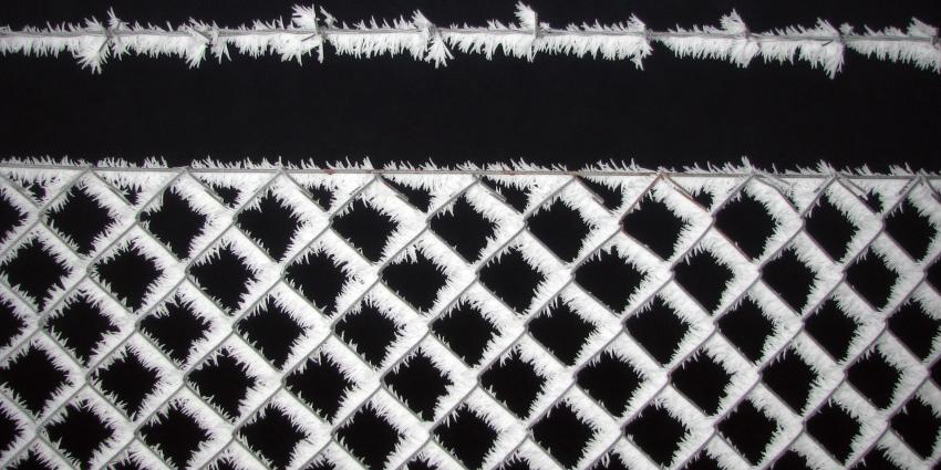 Vorst komt weer terug