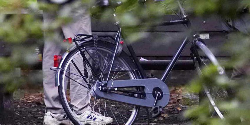 18-jarige jongen aangehouden voor mogelijk ontucht met 4-jarig meisje