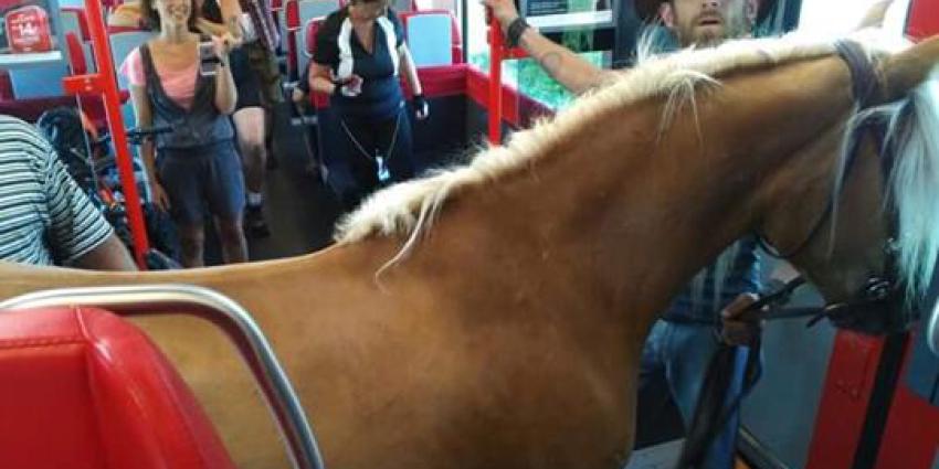 paard, trein, oostenrijk