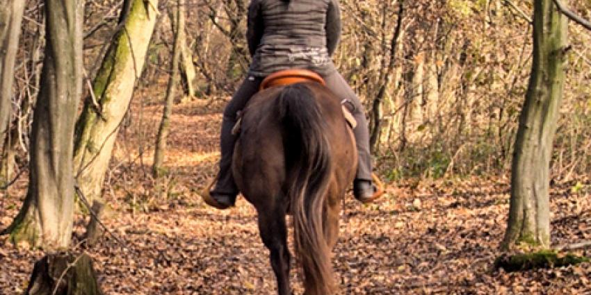 Foto van ruiter in het bos | Archief MV