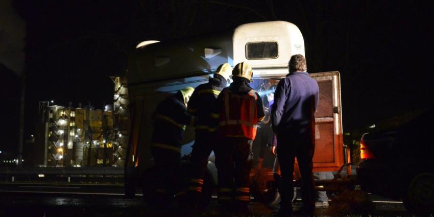 Paard omgekomen op na aanrijding op A1