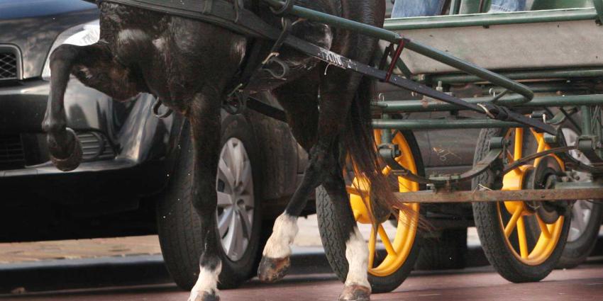 Paarden slaan op hol door inhalende vrachtwagen, vrouwen gewond