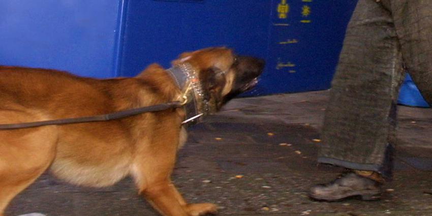 politiehond-trainer-bijten