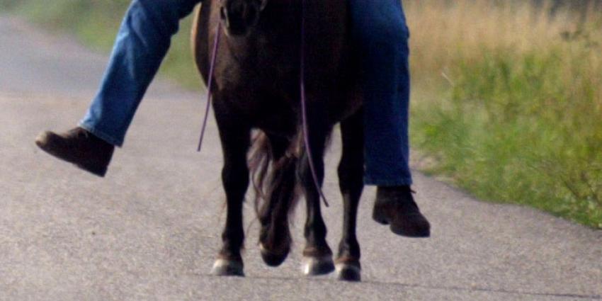 Pony met ernstige verwondingen in beslag genomen