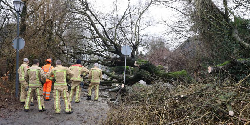 Brandweer verwijderd omgevallen boom