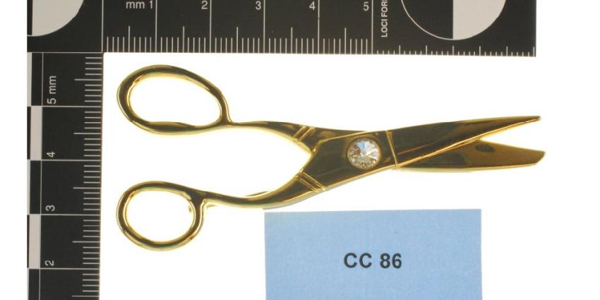 Foot van gouden schaar diamant | Politie