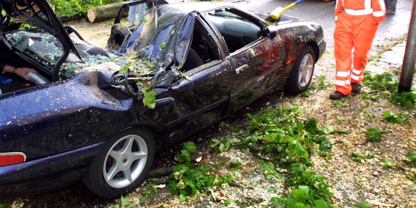 schade-storm-boom-auto