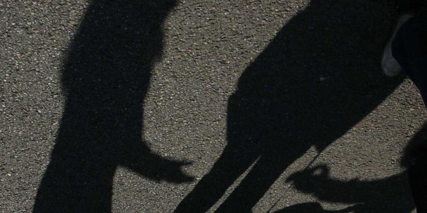 Celstraf voor zelfbevrediging op straat in Baarn