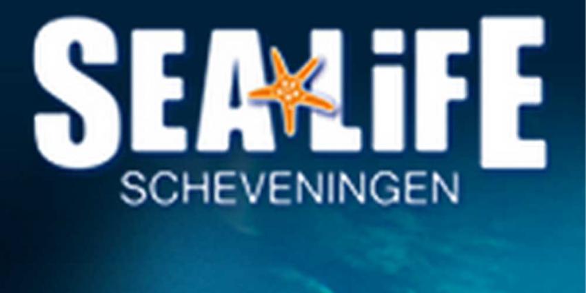 Foto van logo Sea Life | Sea Life