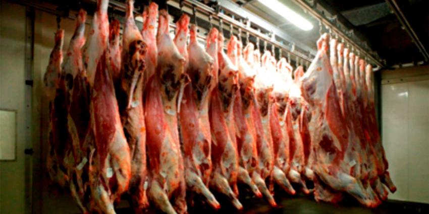 slachterij-karkas-vlees