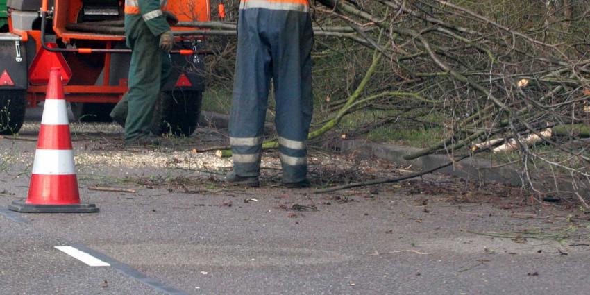 Man die collega groenvoorziening doodde met spade ontoerekeningsvatbaar