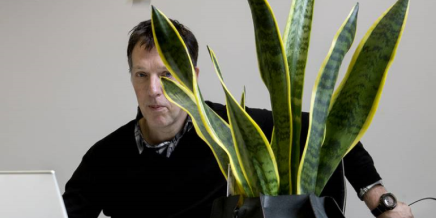 Directeur René Pingen ​van het Stedelijk Museum ’s-Hertogenbosch overleden