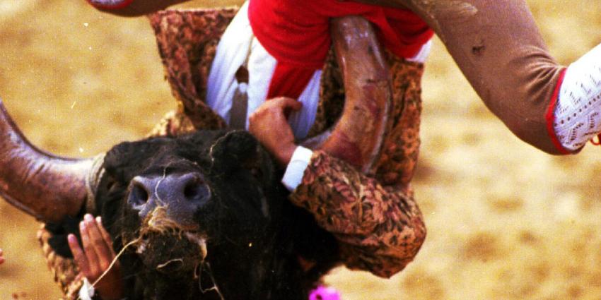 Stier dood matador in arena in Spanje