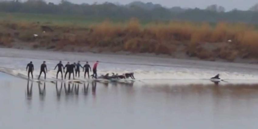 Surfen tegen de stroming van de rivier in