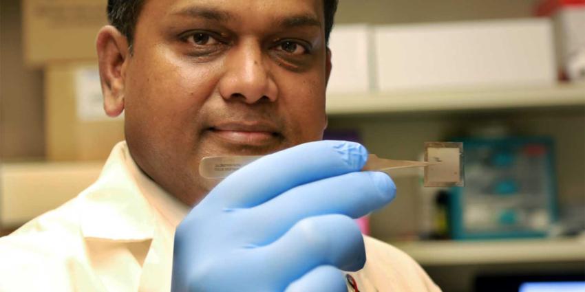 Revolutionaire 'Tissue'-chip repareert lichaamscellen ter plekke