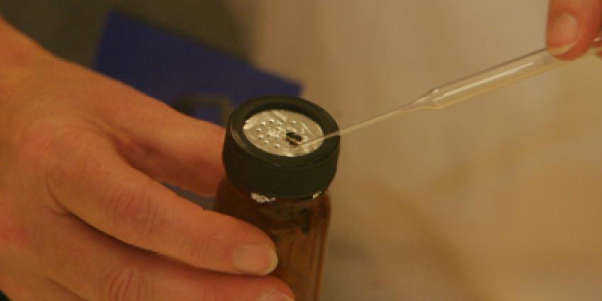 Foto van onderzoeker met fruitvliegje | Archief EHF