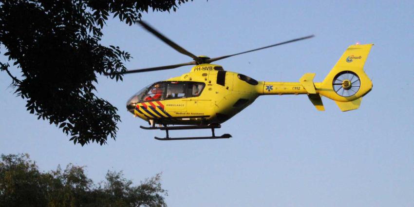 traumaheli-bomen-blauw-lucht