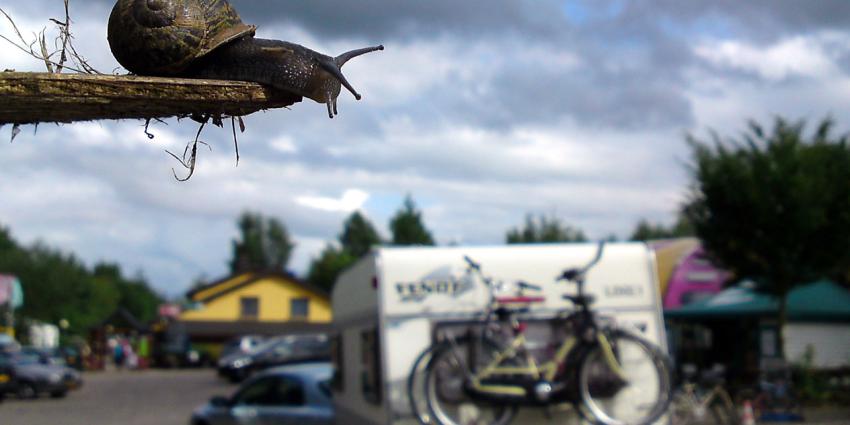 Autovakantie pakt dit jaar duurder uit door gestegen brandstofprijzen