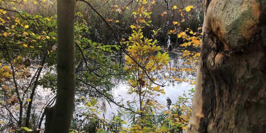 brandweer, bevrijden, vastzittende eend, boom