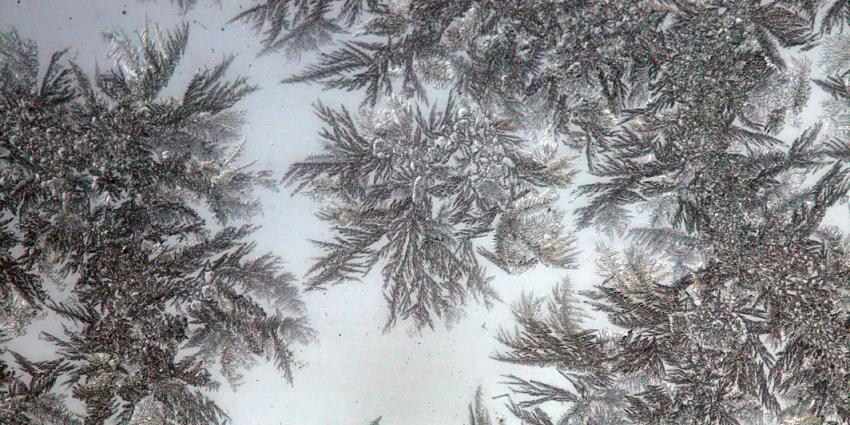 Zaterdag gevoelstemperatuur tot wel -12