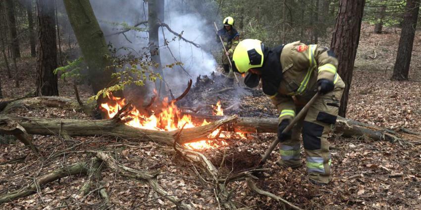 vuurzweep-bosbrand-brandweer