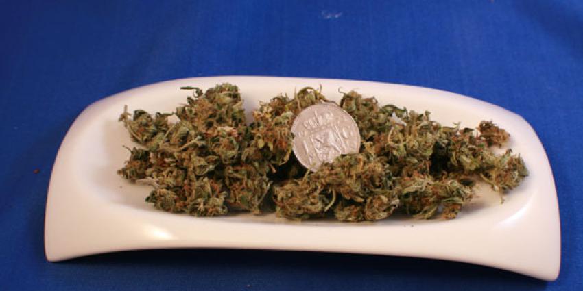 Verdachte softdrugszaak Haren voor rechter