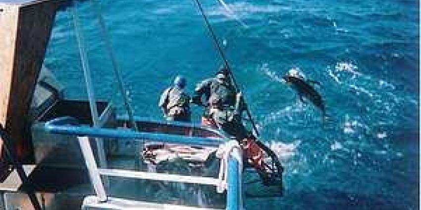 Foto van illegale visserij | WNF